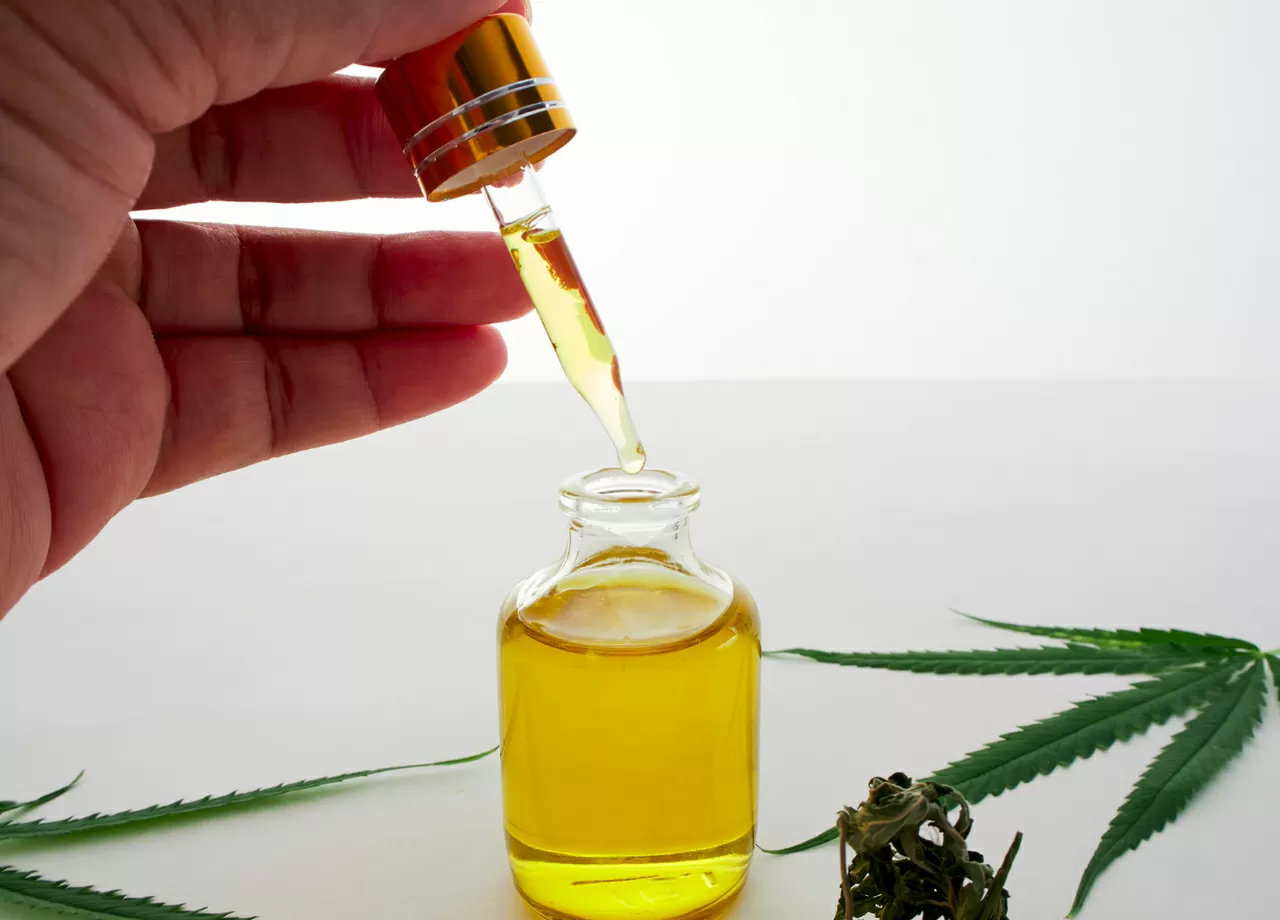 Olio cannabis benefici