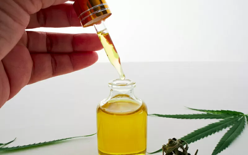 Olio cannabis benefici